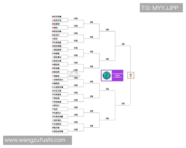 羽毛球赛事直播全程解析及最新冠军热门预测分析