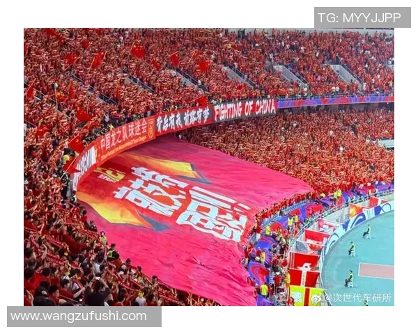 球迷自制感人应援视频引发球星共鸣亲自转发感谢支持